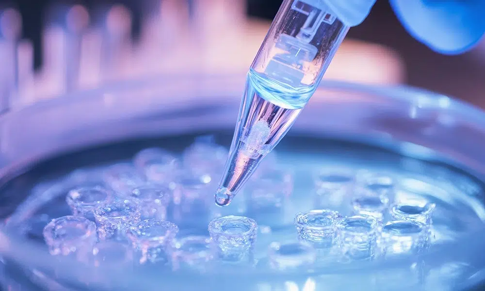 Quanto costa il congelamento degli ovuli in Italia?